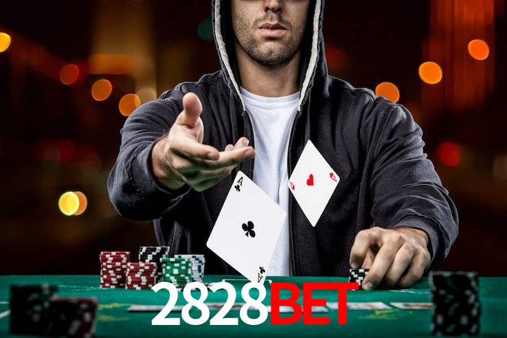 2828bet App Interface